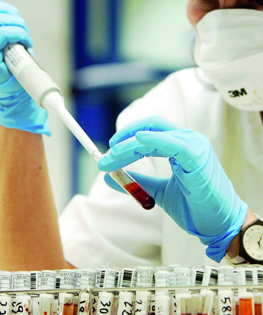 Rimini, sequestrati 300 test coronavirus in parafarmacia Rimini, sequestrati 300 test coronavirus in parafarmacia