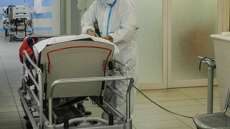 Coronavirus Ravenna, altri 243 casi e 9 morti. Oltre 14mila contagi Coronavirus Ravenna, altri 243 casi e 9 morti. Oltre 14mila contagi