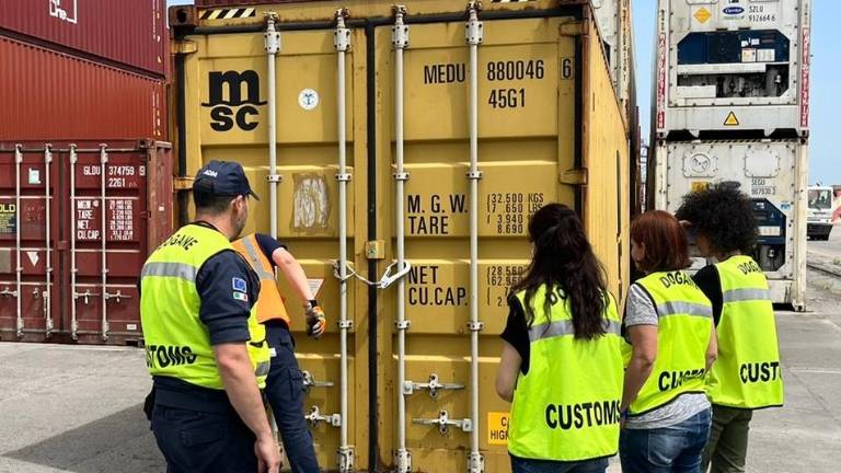 Ravenna, sequestrate 14.400 racchette elettriche per le zanzare: multe per 57mila euro Ravenna, sequestrate 14.400 racchette elettriche per le zanzare: multe per 57mila euro