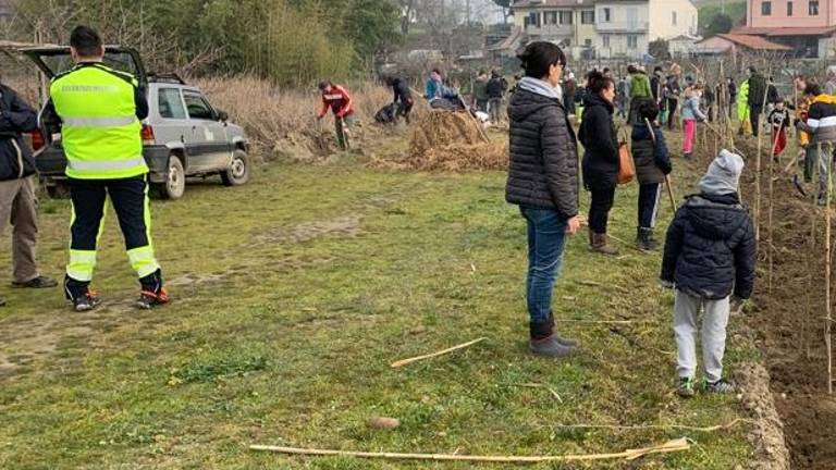 Ronco e Bevano, partono i lavori di manutenzione. Dalla Regione 110mila euro Ronco e Bevano, partono i lavori di manutenzione. Dalla Regione 110mila euro