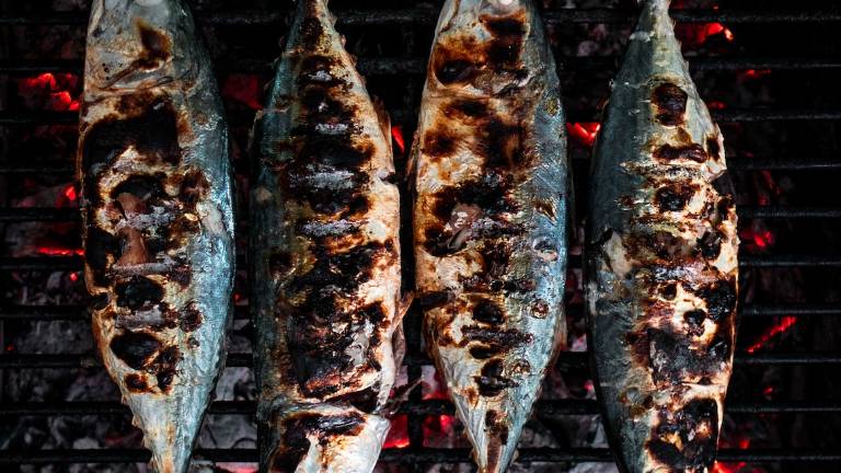 Conselice, il 28 luglio cena di pesce offerta alla popolazione dai pescatori Legacoop Conselice, il 28 luglio cena di pesce offerta alla popolazione dai pescatori Legacoop