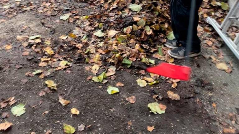 Ravenna, viaggio nell’unica scuola occupata in Romagna tra lezioni alternative e pulizie. “Ecco cosa facciamo. E vogliamo parlare col preside” Ravenna, viaggio nell’unica scuola occupata in Romagna tra lezioni alternative e pulizie. “Ecco cosa facciamo. E vogliamo parlare col preside”