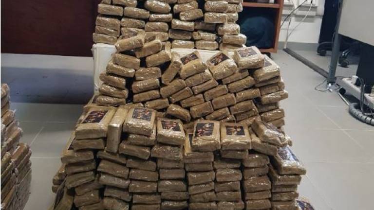 Rimini, sorpresi con 300 chili di droga: condannati gli spacciatori Rimini, sorpresi con 300 chili di droga: condannati gli spacciatori