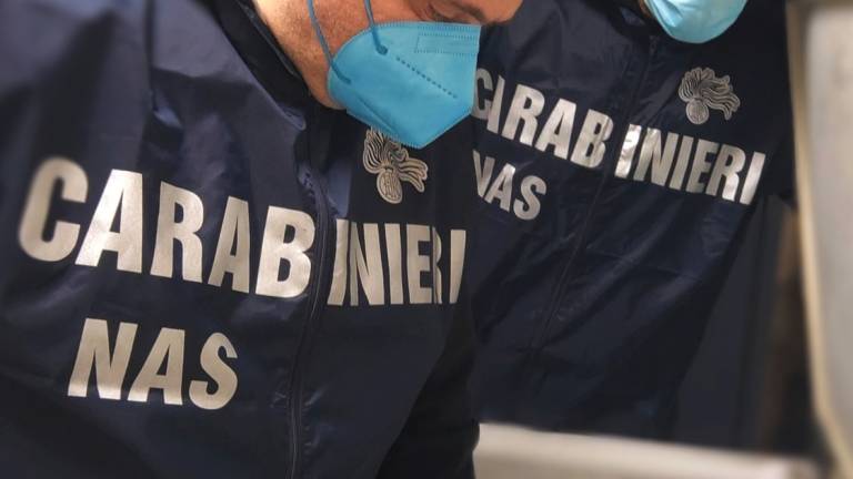 Forlì, escrementi di topi e insetti tra dolci e biscotti, intervengono i Nas Forlì, escrementi di topi e insetti tra dolci e biscotti, intervengono i Nas