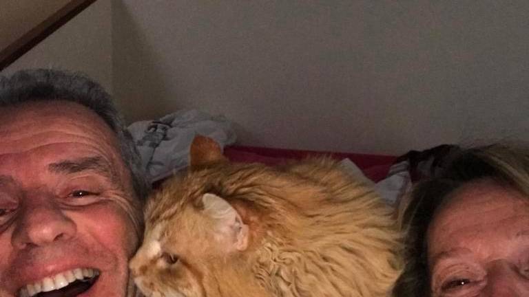 Rimini. Dopo quasi 5 anni ritrovano il gatto che era sparito. “E’ un regalo di Natale” Rimini. Dopo quasi 5 anni ritrovano il gatto che era sparito. “E’ un regalo di Natale”