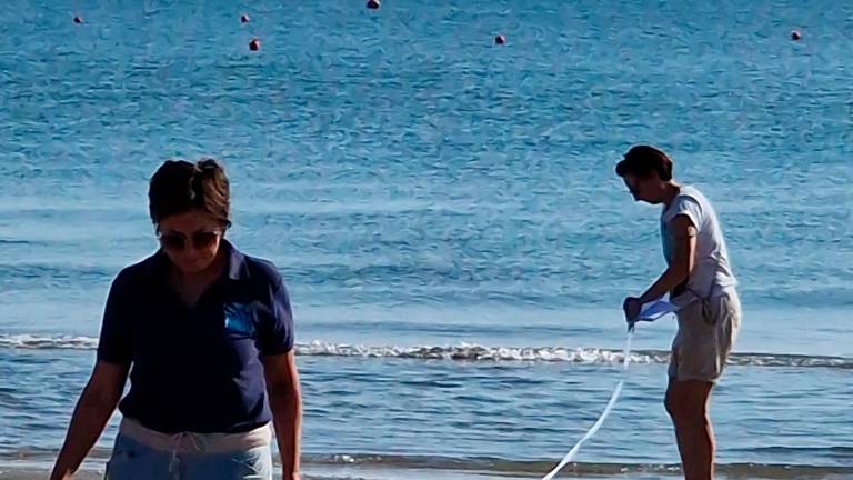 Riccione, nido tartarughe, si cercano volontari per controllarlo 24 ore su 24 GALLERY Riccione, nido tartarughe, si cercano volontari per controllarlo 24 ore su 24 GALLERY