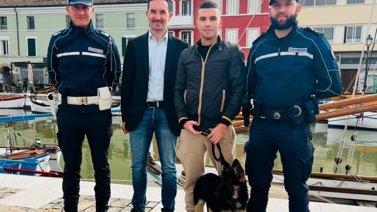 Yuma sarà il primo cane dell’unità cinofila Yuma sarà il primo cane dell’unità cinofila