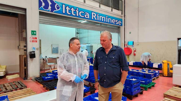 Rimini, il Caar: “Oltre 10 milioni di investimento sul mercato ittico” Rimini, il Caar: “Oltre 10 milioni di investimento sul mercato ittico”