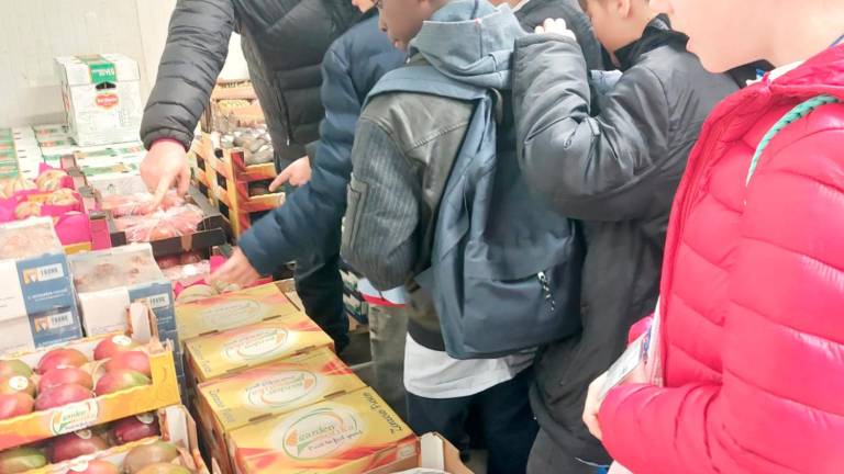Rimini, “Scuola con Gusto”: al via il progetto del Caar dedicati ai più giovani - Gallery Rimini, “Scuola con Gusto”: al via il progetto del Caar dedicati ai più giovani - Gallery