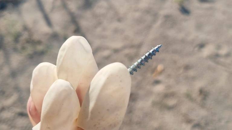 “Chiodi e viti nella spiaggia libera dopo gli eventi alla Rimini Beach Arena”: la denuncia della Lipu “Chiodi e viti nella spiaggia libera dopo gli eventi alla Rimini Beach Arena”: la denuncia della Lipu