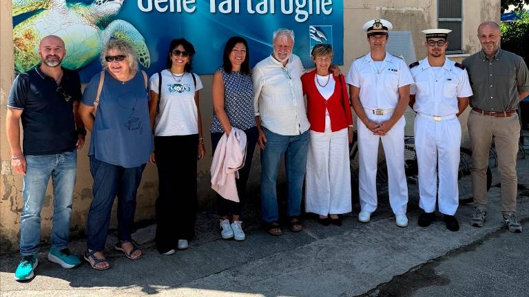 Emilia-Romagna, ogni anno salvate 200 tartarughe marine Emilia-Romagna, ogni anno salvate 200 tartarughe marine