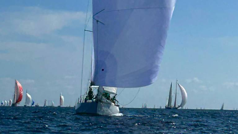 Vela. Il Centro Velico Punta Marina naviga verso i 50 anni Vela. Il Centro Velico Punta Marina naviga verso i 50 anni