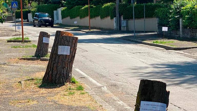 Cesena, lungo la via Mascagni sono comparse 23 poesie per chiedere di piantare nuovi alberi Cesena, lungo la via Mascagni sono comparse 23 poesie per chiedere di piantare nuovi alberi