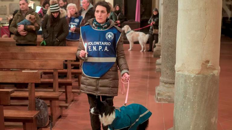 Ravenna, la benedizione degli animali a Sant’Antonio Abate - Gallery Ravenna, la benedizione degli animali a Sant’Antonio Abate - Gallery
