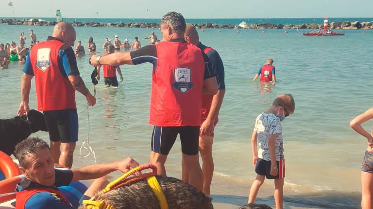 Cattolica. Spiagge sicure con i cani da salvataggio Cattolica. Spiagge sicure con i cani da salvataggio