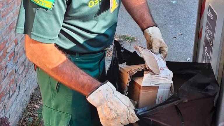 Castel Bolognese, dalle Guardie ecologiche sanzioni per quasi 9mila euro Castel Bolognese, dalle Guardie ecologiche sanzioni per quasi 9mila euro