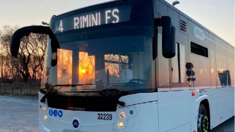 Rimini, bus gratis in estate per gli under 26 già abbonati Rimini, bus gratis in estate per gli under 26 già abbonati