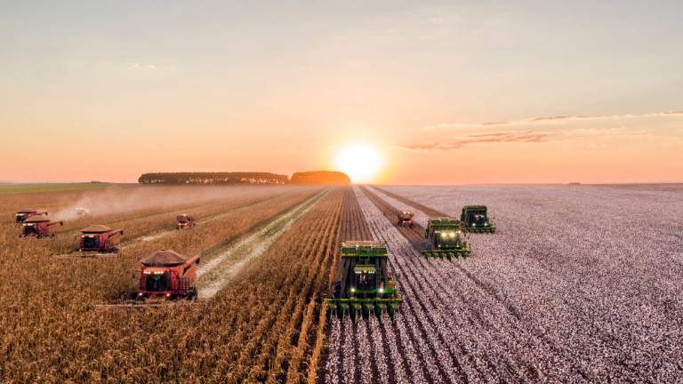 Negli ultimi 9 anni le imprese agricole sono diminuite del 22,6% nel Cesenate Negli ultimi 9 anni le imprese agricole sono diminuite del 22,6% nel Cesenate