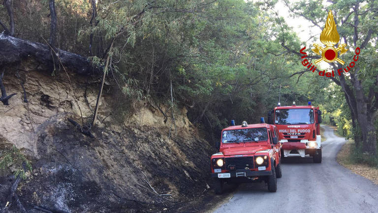 Borghi, incendio a San Giovanni in Galilea: Vigili del Fuoco in azione nel bosco Borghi, incendio a San Giovanni in Galilea: Vigili del Fuoco in azione nel bosco
