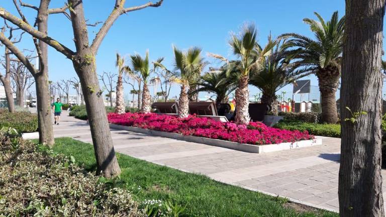 A Riccione asfalto rosa per l'arrivo dei ciclisti del Giro d'Italia A Riccione asfalto rosa per l'arrivo dei ciclisti del Giro d'Italia