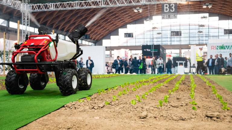 Al Macfrut un confronto a tutto campo con al centro il futuro dell’agricoltura