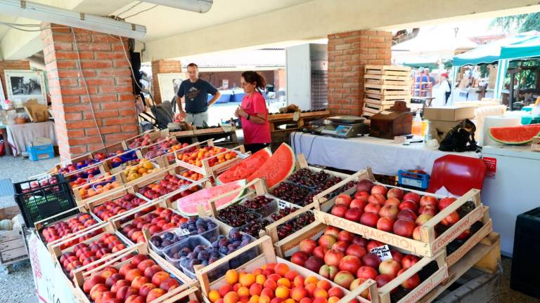 Imola, la Fiera agricola è un viaggio nella cultura contadina - Gallery Imola, la Fiera agricola è un viaggio nella cultura contadina - Gallery