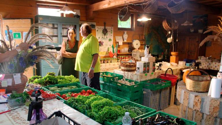 Savignano, la famiglia Gobbi: “L’agricoltura biodinamica è il frutto dell’amore per il lavoro” Savignano, la famiglia Gobbi: “L’agricoltura biodinamica è il frutto dell’amore per il lavoro”