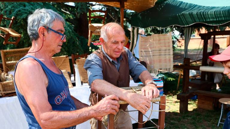 Imola, la Fiera agricola è un viaggio nella cultura contadina - Gallery Imola, la Fiera agricola è un viaggio nella cultura contadina - Gallery
