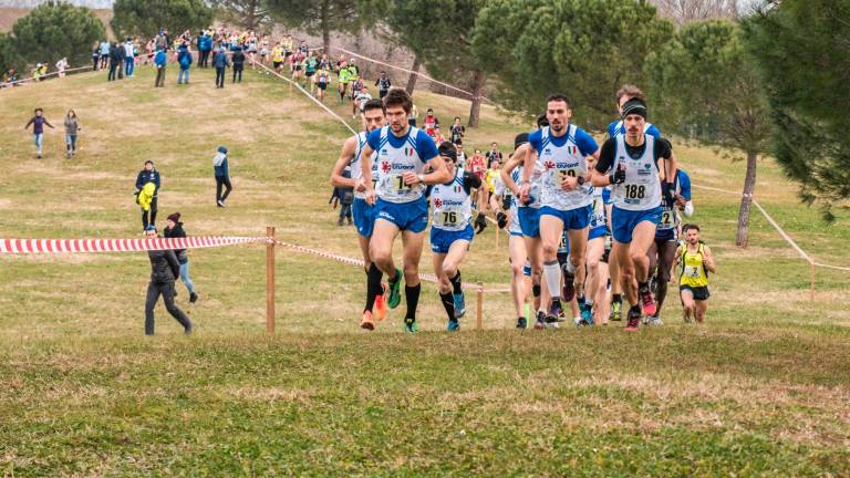 Podismo, domenica a Cesena i Regionali di corsa campestre Podismo, domenica a Cesena i Regionali di corsa campestre