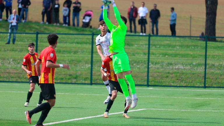 Primavera 2, Cesena in Paradiso: piegato 2-0 il Benevento nel big-match VIDEO GALLERY Primavera 2, Cesena in Paradiso: piegato 2-0 il Benevento nel big-match VIDEO GALLERY