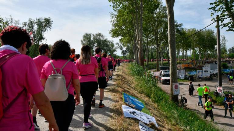 Forlì, mille partecipanti alla Green city trail per le donne FOTOGALLERY Forlì, mille partecipanti alla Green city trail per le donne FOTOGALLERY