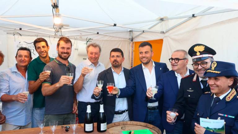 Imola, la Fiera agricola è un viaggio nella cultura contadina - Gallery Imola, la Fiera agricola è un viaggio nella cultura contadina - Gallery