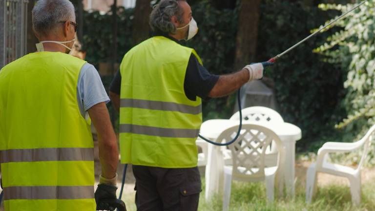 Una disinfestazione antizanzare Una disinfestazione antizanzare