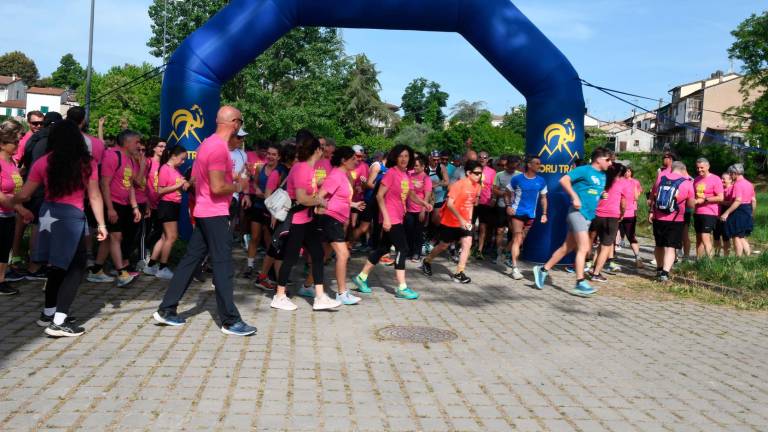 Forlì, mille partecipanti alla Green city trail per le donne FOTOGALLERY Forlì, mille partecipanti alla Green city trail per le donne FOTOGALLERY