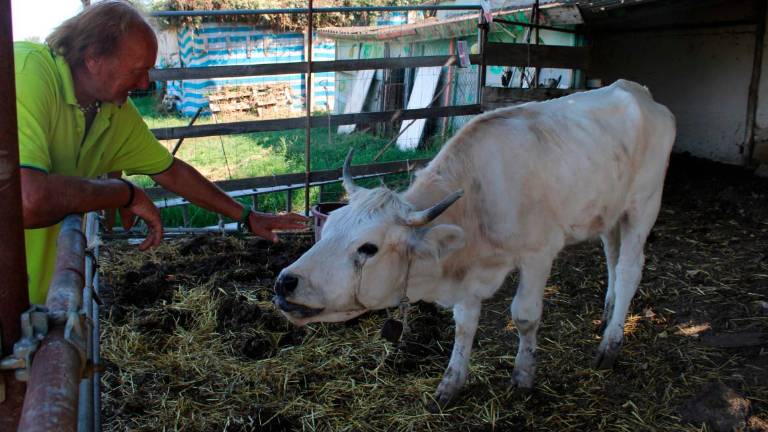 Savignano, la famiglia Gobbi: “L’agricoltura biodinamica è il frutto dell’amore per il lavoro” Savignano, la famiglia Gobbi: “L’agricoltura biodinamica è il frutto dell’amore per il lavoro”