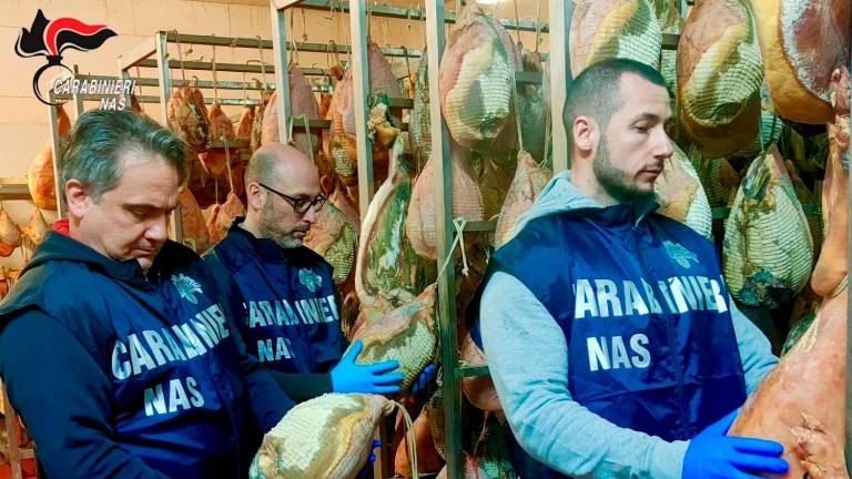 I controlli dei Nas al salumificio I controlli dei Nas al salumificio