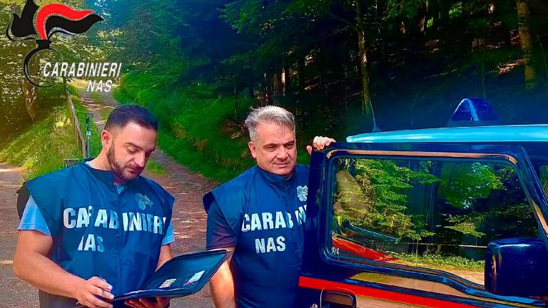 Roditori, merce scaduta, animali sul piano di lavoro: rifugi dell’Appennino emiliano-romagnolo bocciati dai Nas, sospese 4 attività di ristoro Roditori, merce scaduta, animali sul piano di lavoro: rifugi dell’Appennino emiliano-romagnolo bocciati dai Nas, sospese 4 attività di ristoro