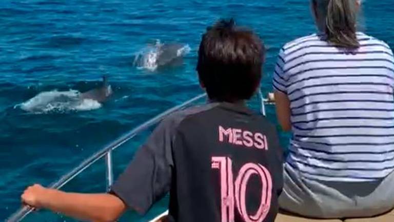 Riccione, il gioco di 9 delfini diverte i bambini sulla barca VIDEO Riccione, il gioco di 9 delfini diverte i bambini sulla barca VIDEO