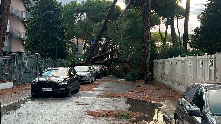 Maltempo in Romagna, tromba d’aria a Milano Marittima. Alberi caduti su strade e auto. I vigili del fuoco: «Non fate alzare in volo droni» Maltempo in Romagna, tromba d’aria a Milano Marittima. Alberi caduti su strade e auto. I vigili del fuoco: «Non fate alzare in volo droni»