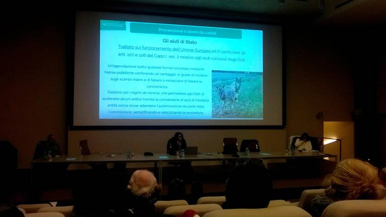 Un momento del seminario di ieri delle Gam sulla presenza del lupo Un momento del seminario di ieri delle Gam sulla presenza del lupo