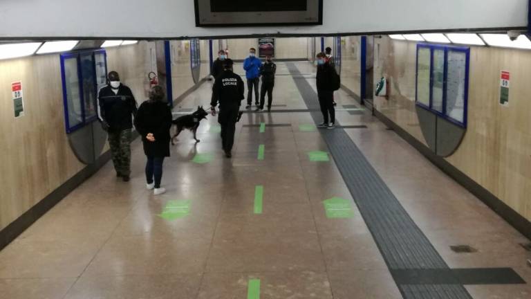 Guardia penitenziaria arrestata a Rimini per spaccio di marijuana Guardia penitenziaria arrestata a Rimini per spaccio di marijuana