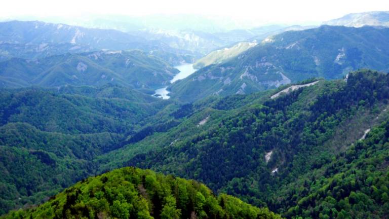Parco Foreste Casentinesi, nominati i membri del direttivo Parco Foreste Casentinesi, nominati i membri del direttivo