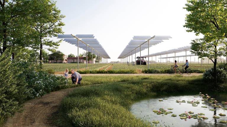 Faenza, 20mila pannelli solari nel nuovo parco energetico Faenza, 20mila pannelli solari nel nuovo parco energetico