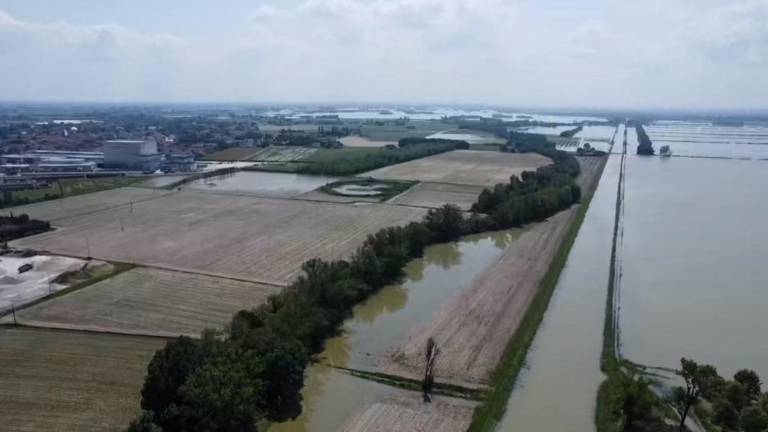 Alluvione. Legacoop: campi da bonificare, la terra della Romagna rischia di diventare un deserto produttivo Alluvione. Legacoop: campi da bonificare, la terra della Romagna rischia di diventare un deserto produttivo