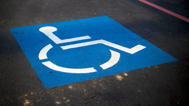 «La Bassa Romagna da 32 anni senza il Piano per la disabilità» «La Bassa Romagna da 32 anni senza il Piano per la disabilità»