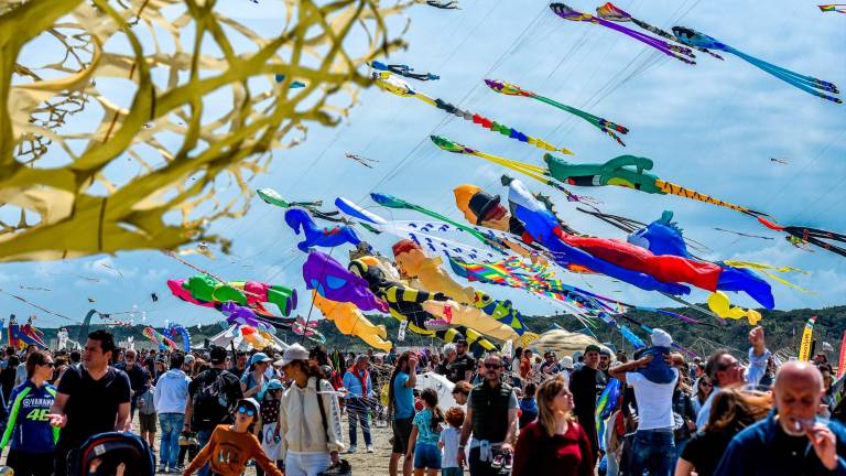 Cervia, il festival degli aquiloni torna dal 20 aprile al 1° maggio VIDEO GALLERY