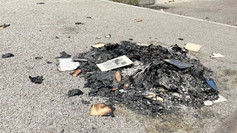 Rimini, a fuoco i volumi nella casetta dei libri di Miramare: Gesto ignobile Rimini, a fuoco i volumi nella casetta dei libri di Miramare: Gesto ignobile