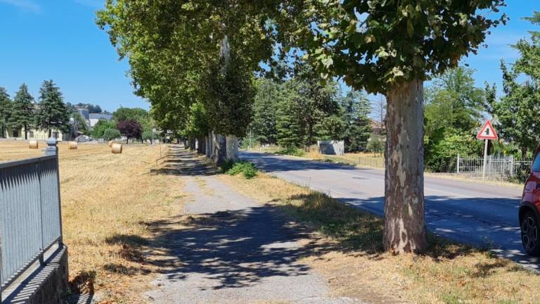 Meldola, nuove piste ciclabili in arrivo Meldola, nuove piste ciclabili in arrivo
