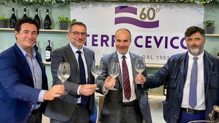 Il vino di Romagna è un tesoro: per Terre Cevico 118 milioni di bottiglie e un fatturato da 190 milioni di euro Il vino di Romagna è un tesoro: per Terre Cevico 118 milioni di bottiglie e un fatturato da 190 milioni di euro