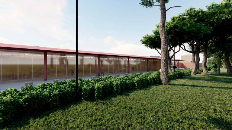 Rimini, riqualificazione del Parco in piazzale Carso: via ai lavori Rimini, riqualificazione del Parco in piazzale Carso: via ai lavori
